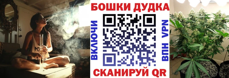 kraken ссылки  купить наркотик  Лиски  Бошки марихуана план 